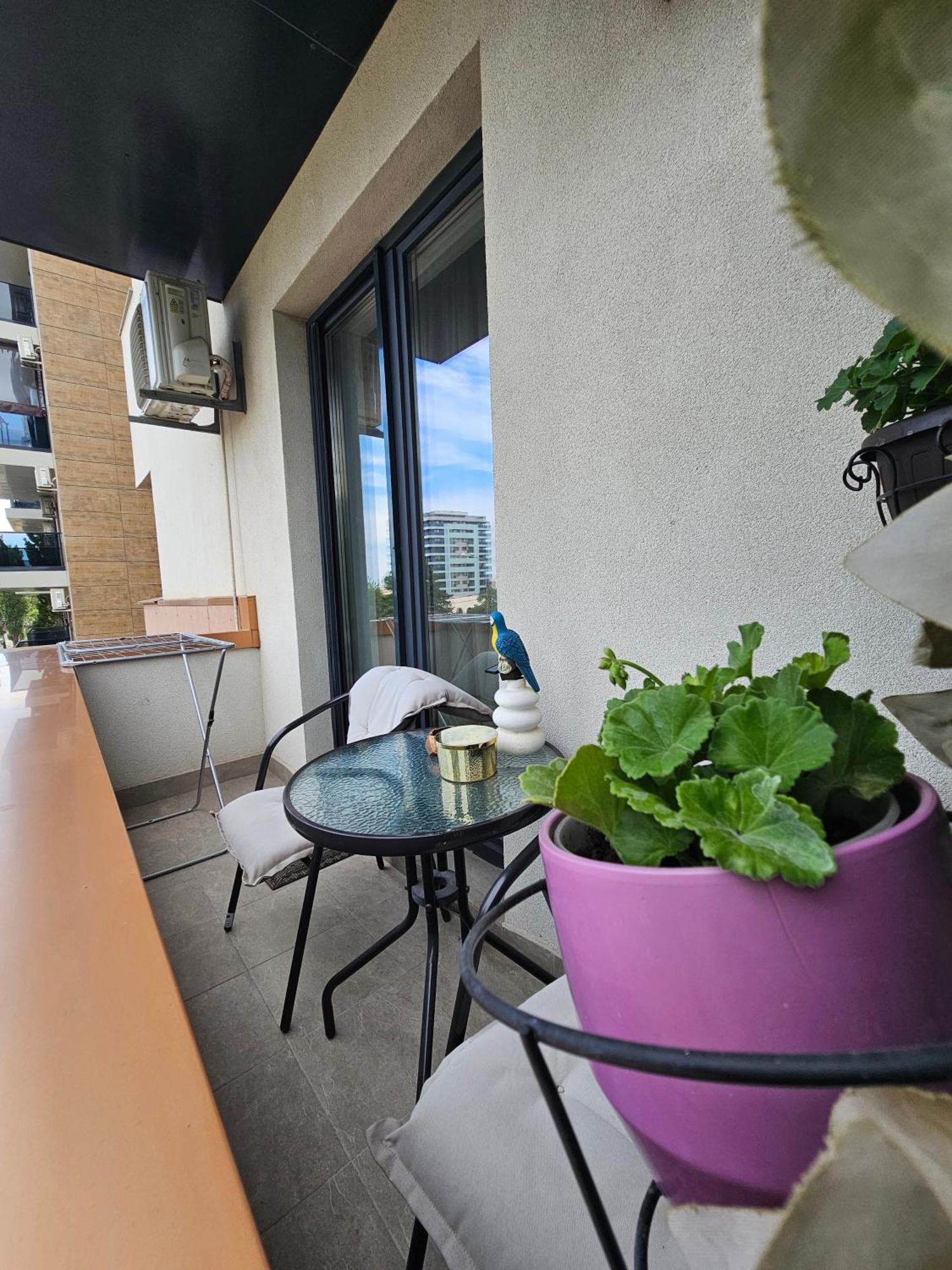 Andrew'S Apartment Central مامايا المظهر الخارجي الصورة
